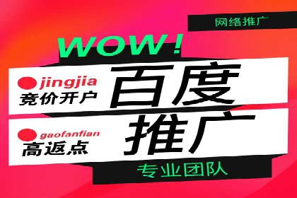 SEM优化师案例：精准定位，实现高效转化
